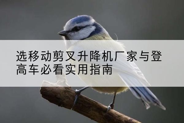 海曙电动升降机厂家-选移动剪叉升降机厂家与登高车必看实用指南