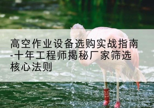 海曙剪叉式升降机厂家-高空作业设备选购实战指南-十年工程师揭秘厂家筛选核心法则